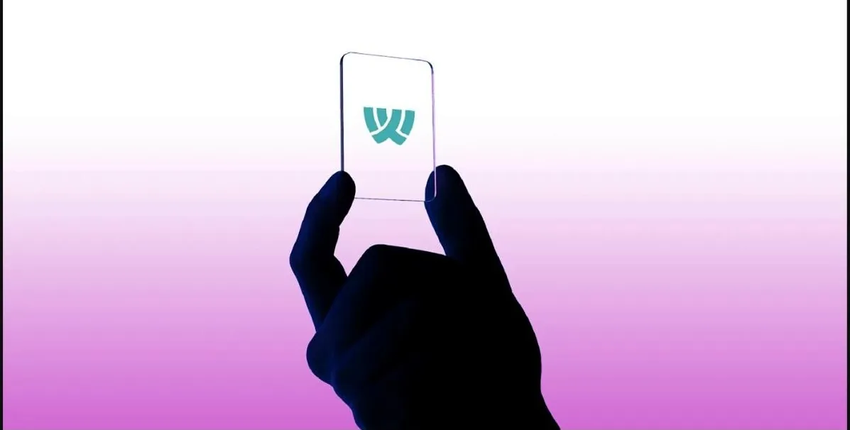 WanAyraX | Brand Identity: design 20 of 24